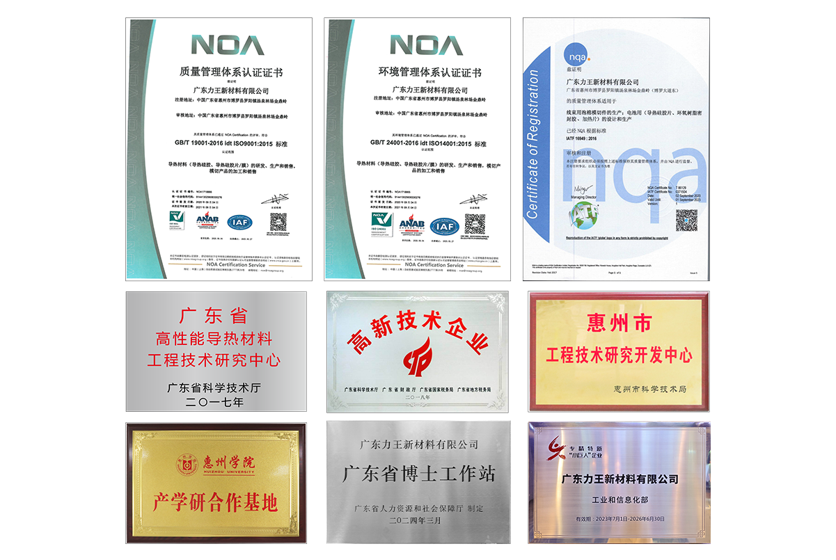 广东力王新材料有限公司公司荣誉